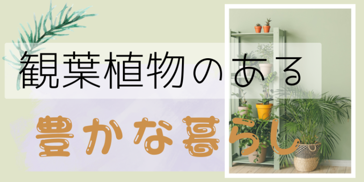 観葉植物のある豊かな暮らし